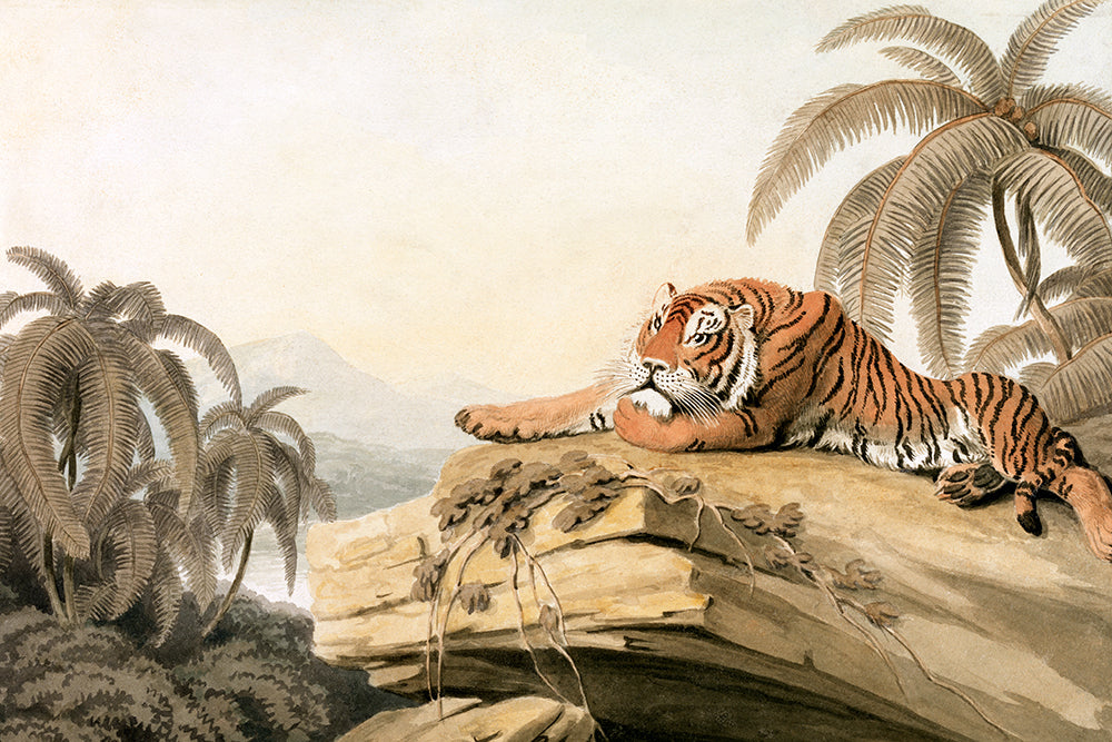 A vintage painting of a tiger lying on a rock.