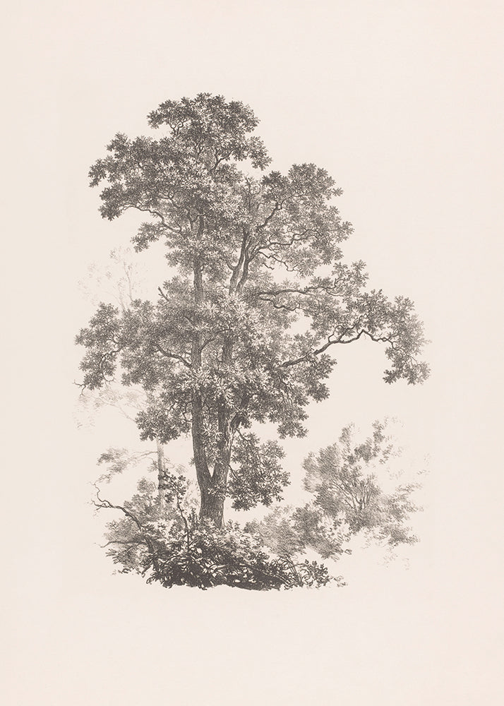 A vintage sketch of a tree. Part of a pair.