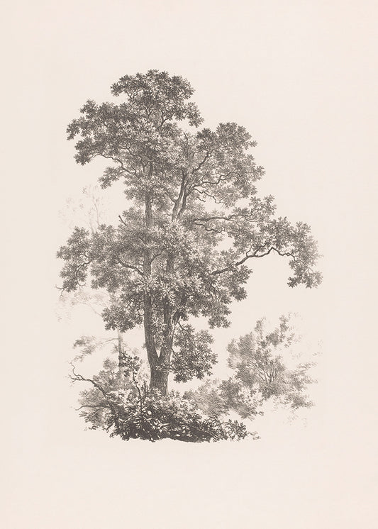 Tree Duet 1