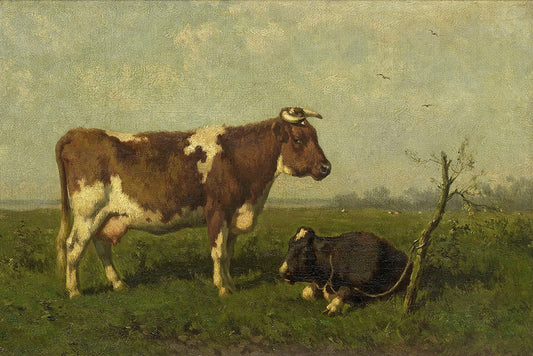 Cows