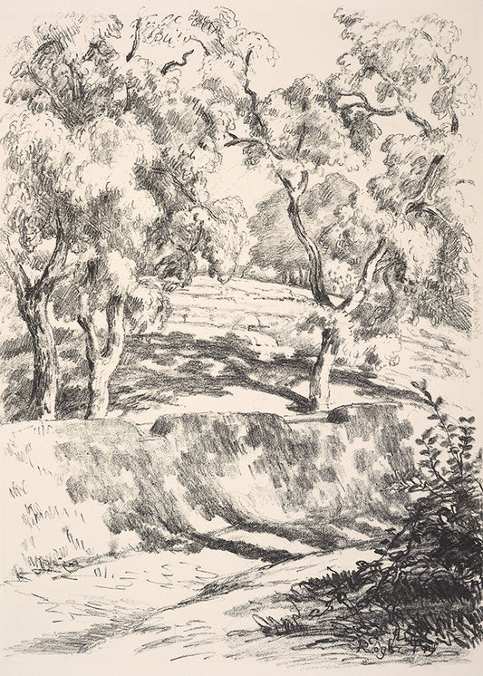 Vintage Trees