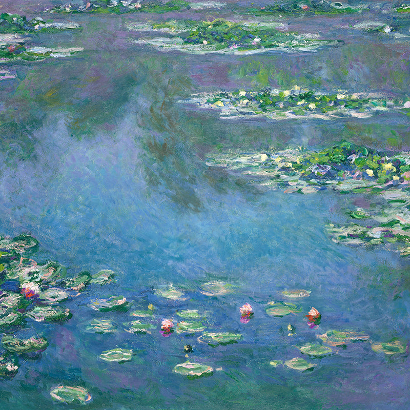 Waterlilies