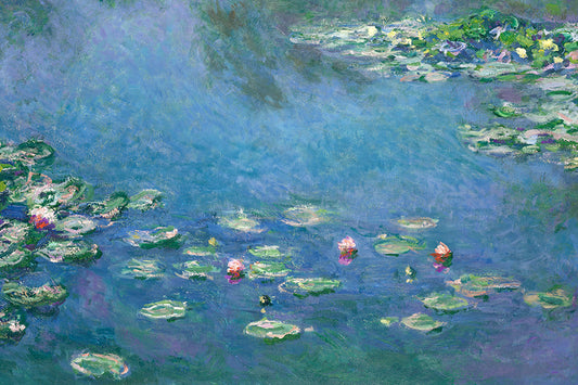 Waterlilies