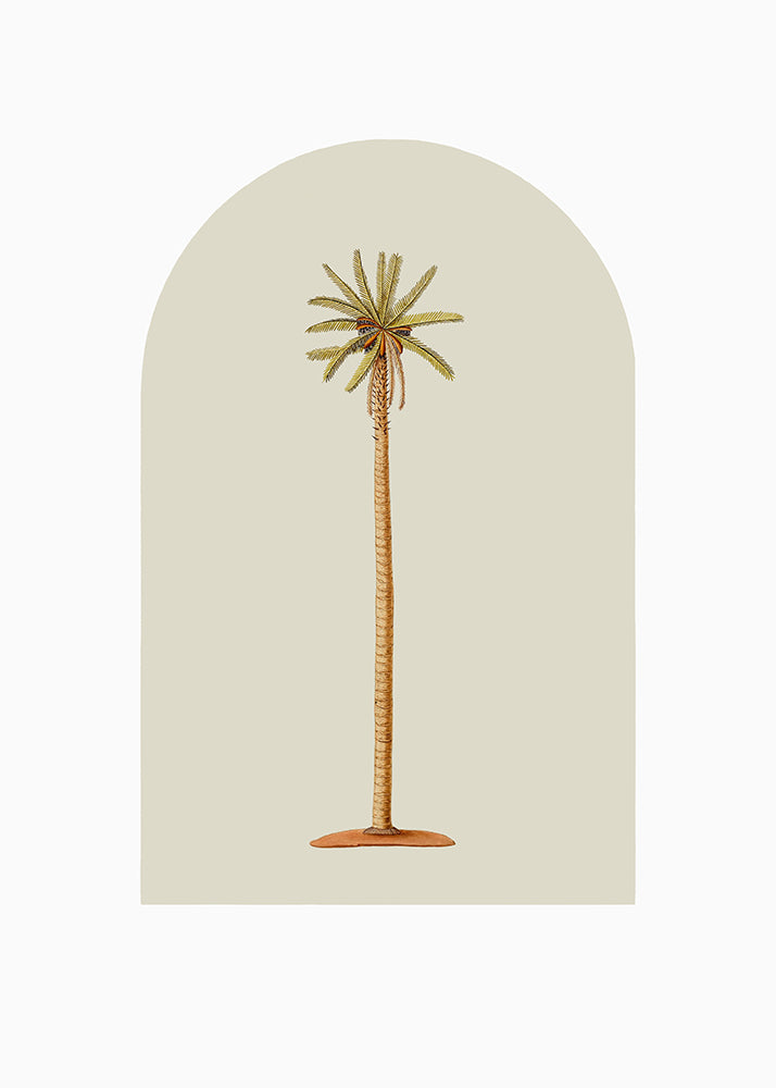 White Skinny Palm 1