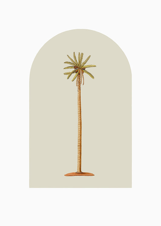 White Skinny Palm 1