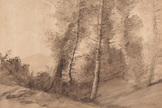 A vintage illustration of trees done in caramel monotone. This print has a lovely sense of wonder, movement and whimsy to it.

Featuring shades of brown and caramel.
A museum-quality fine art print with a lightly textured, matt finish, using giclée printing techniques that won't fade.