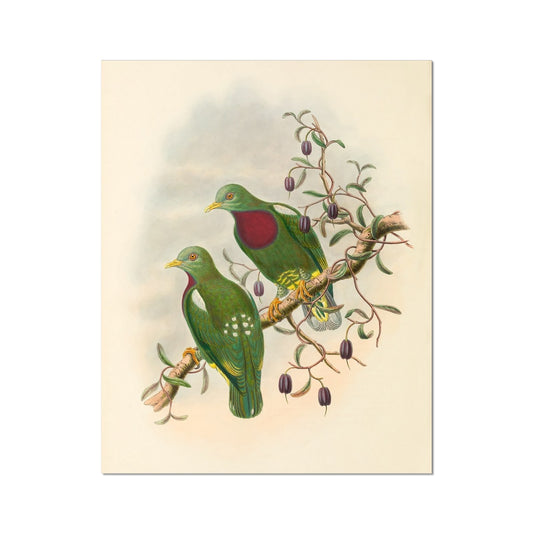 image5