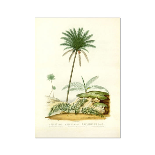 image3