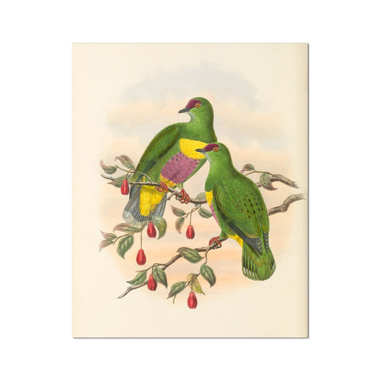 image5