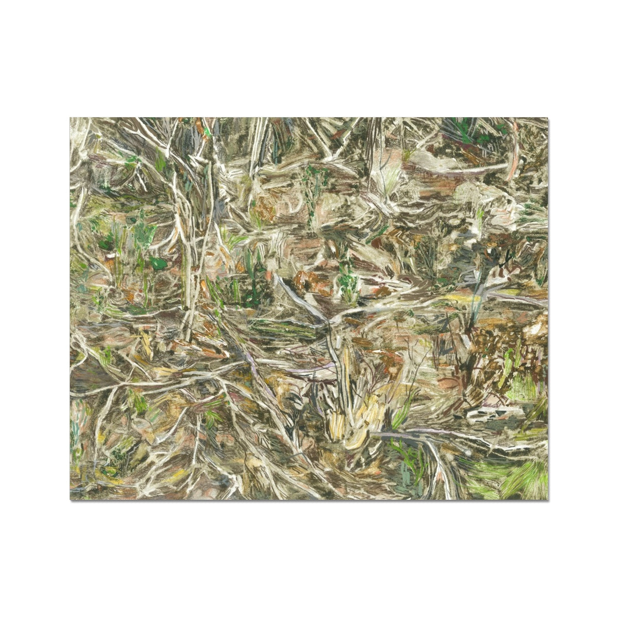 image5