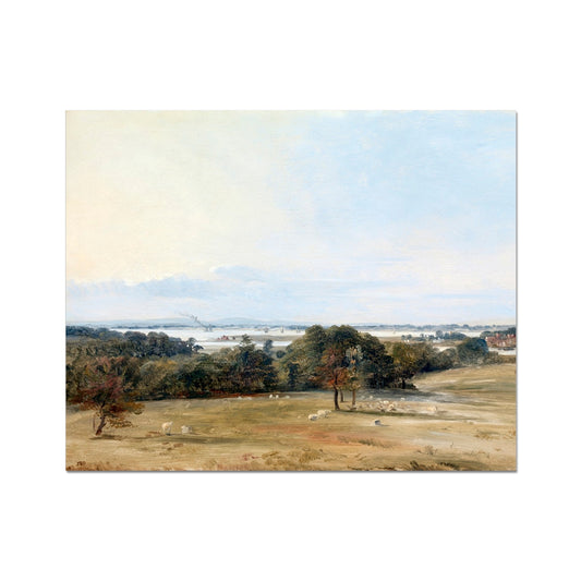 image5