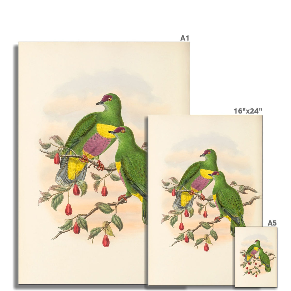 Green Bird Series 3