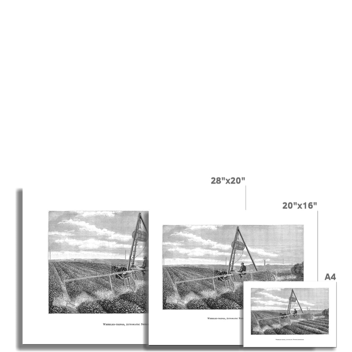 Agricultural Study 1